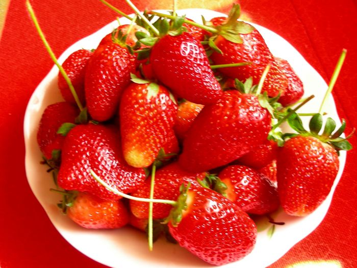 上海浦东采草莓|上海农家乐|上海浦东农家乐