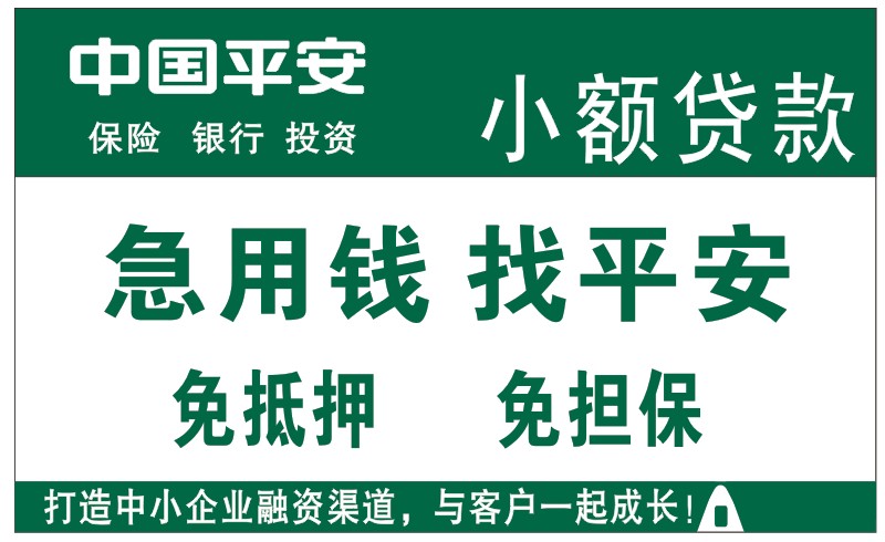 贷款能贷多少_收入2000能贷款多少(3)