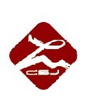 上海穿三甲装饰有限公司