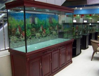 上海鱼缸定做-上海汇蓝海水族