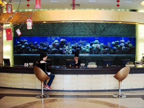 亚克力鱼缸定做-大型观赏鱼缸设计制作-上海亚克力鱼缸加工厂