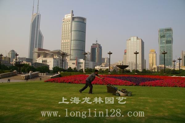 上海龙林园艺绿化有限公司