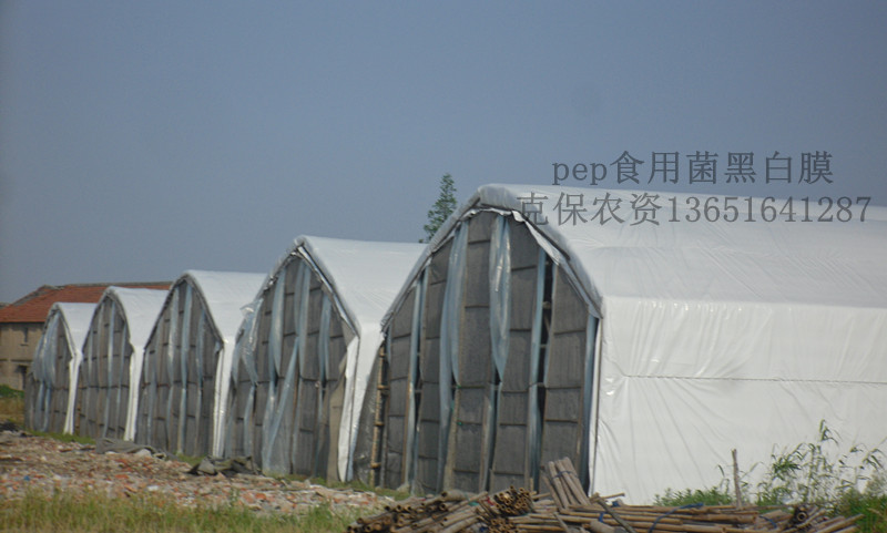 上海克保农资黑白膜有限公司生产厂家农用黑白膜食用菌专用黑白膜