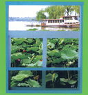 上海隐形纱窗-公司-定做-厂家-价格-批发