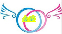 江苏金盛高空工程公司市场一部