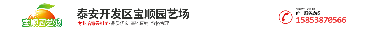 泰安开发区宝顺园艺场