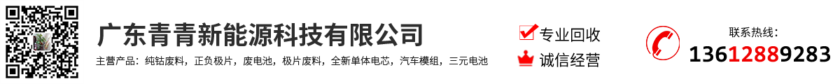 广东青青新能源科技有限公司