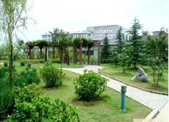 上海乔丰园林绿化工程有限公司