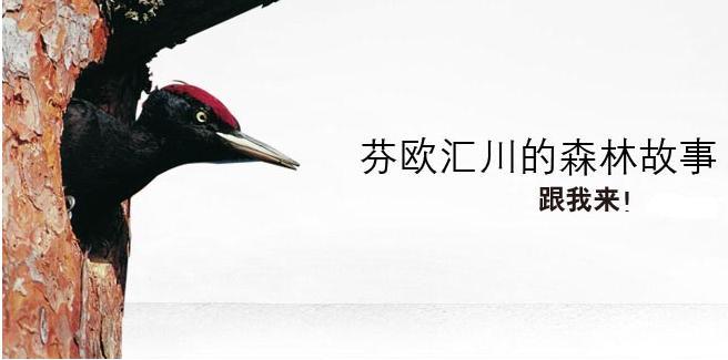 芬兰芬欧汇川木业有限公司-上海代表处 