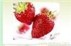  采摘新鲜草莓，体验农家生活-小吴特色草莓农家乐