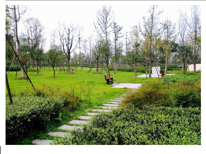 上海绿化养护公司-上海梦茵绿化工程有限公司