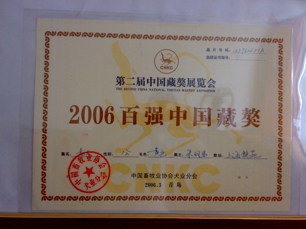 2006百强中国藏獒