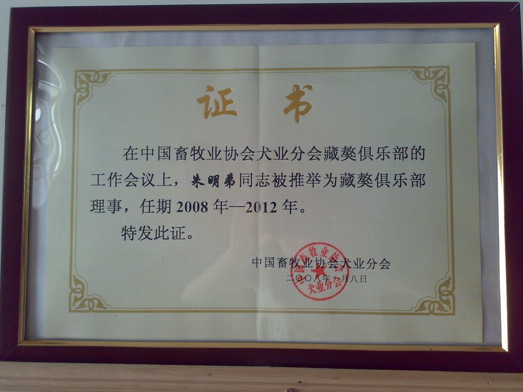 藏獒俱乐部理事证书