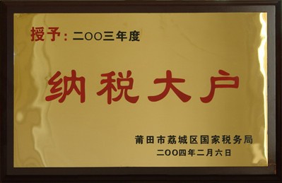 2003年度纳税大户