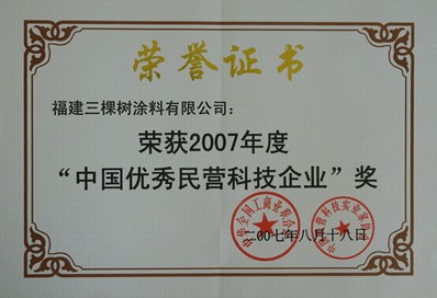 2007年度中国优秀民营科技企业