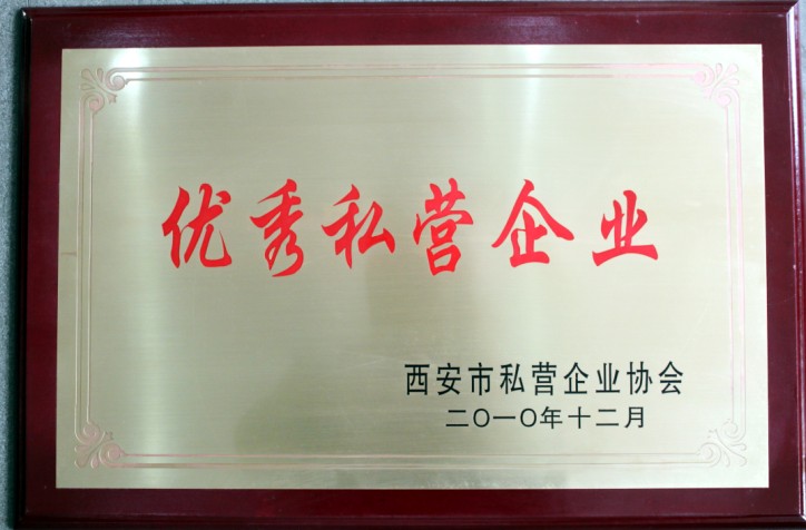 2010年度优秀私营企业