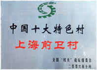 中国十大特色村