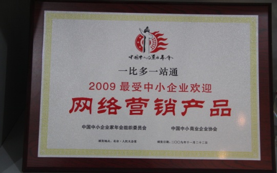 2009最受中小企业欢迎网络营销产品