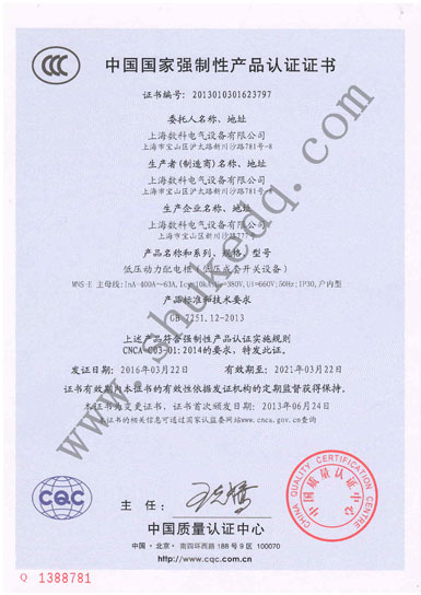 强制性产品检测报告