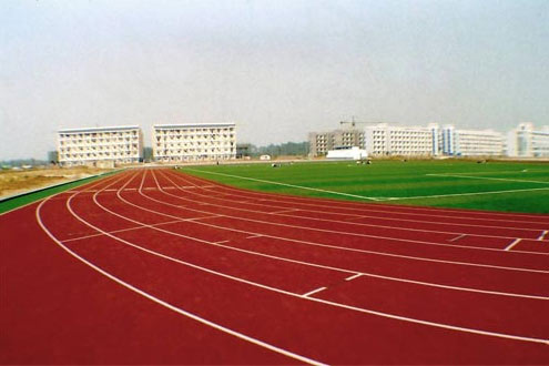 2010031519142645186.jpg