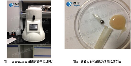 QQ图片20150121172022.jpg