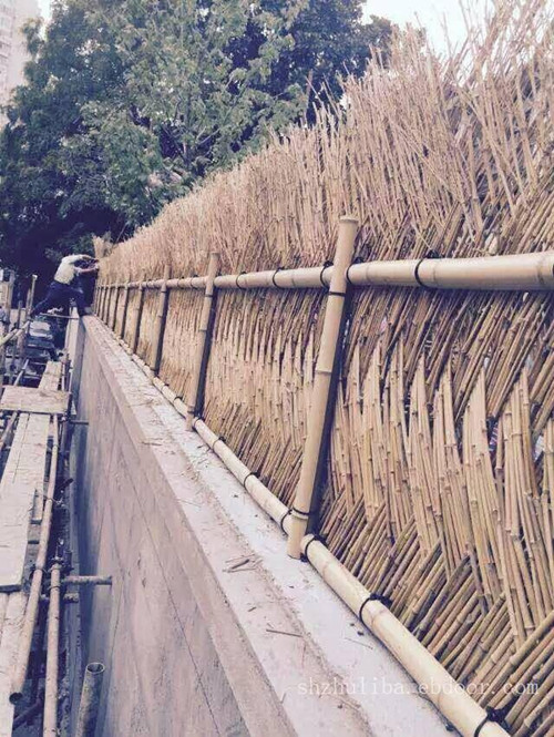 1_副本.jpg