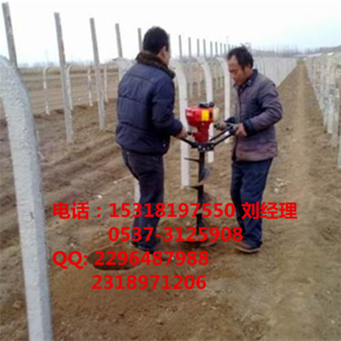 QQ图片20150711163738_副本.jpg