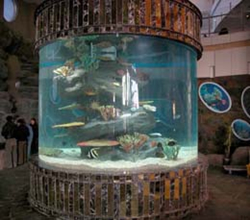 2009112013286_517.jpg