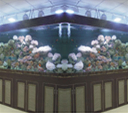 20091120132622_138.jpg