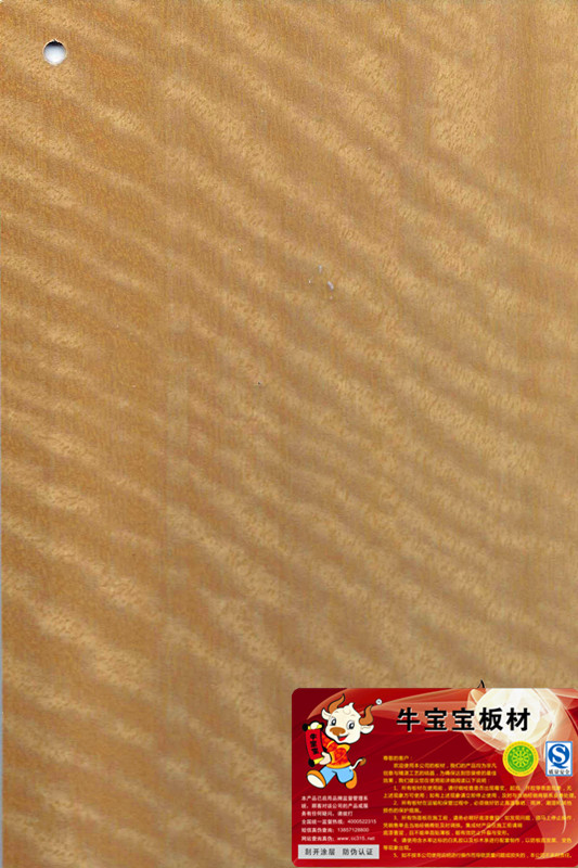 安利格影-189.jpg