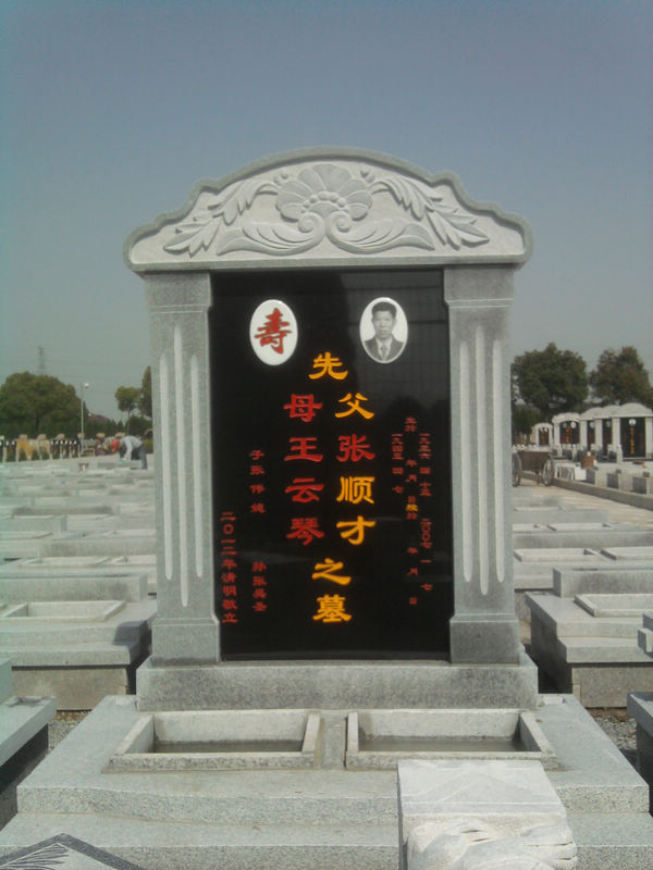 龙柏27区.jpg
