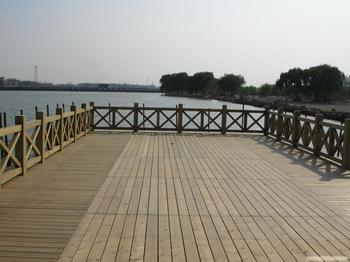 58.jpg