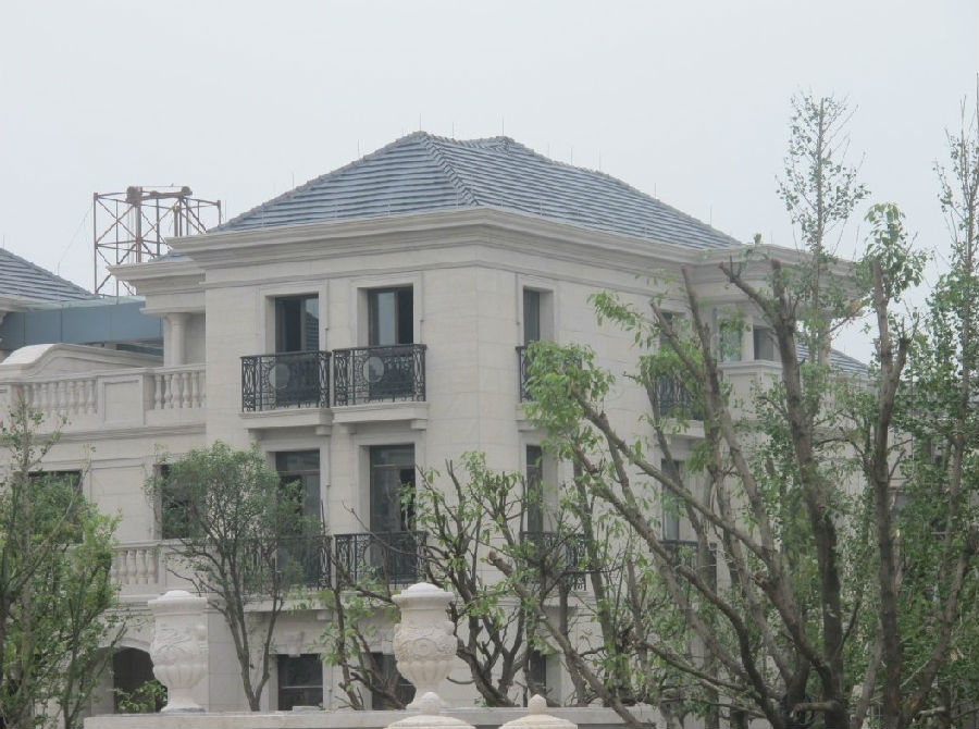 嘉善东方星河湾.JPG