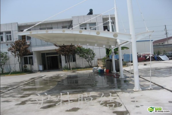conew_1294643636020733.jpg