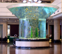 20091120132611_79.jpg