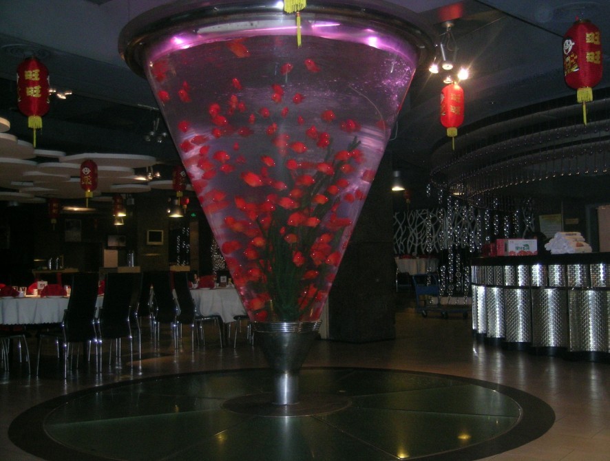 20124298294_829.jpg