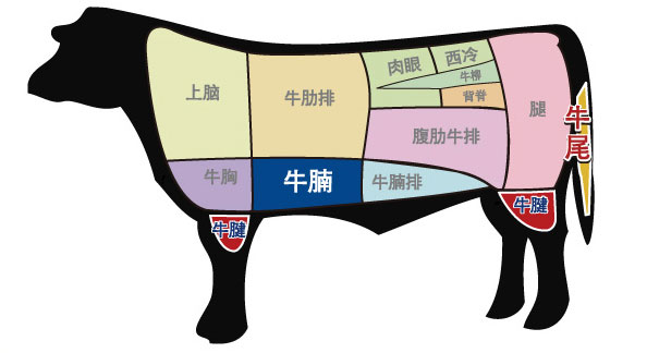 牛肉部位图.jpg