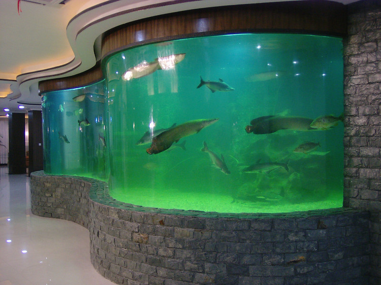 江苏订做大型鱼缸|大厅风水鱼缸|发财鱼缸|大型观赏鱼缸|锥形鱼缸