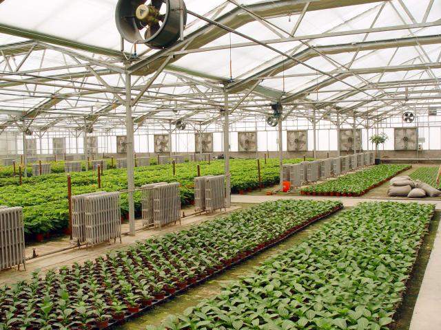 找贵州文洋农业科技发展有限责任公司的贵州蔬