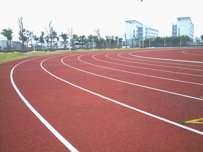 g3_4570203.jpg
