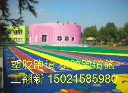 8443041.jpg