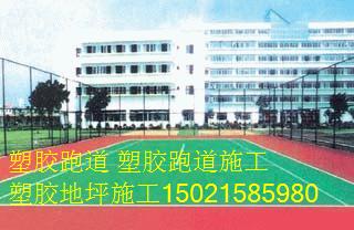 41026235.jpg