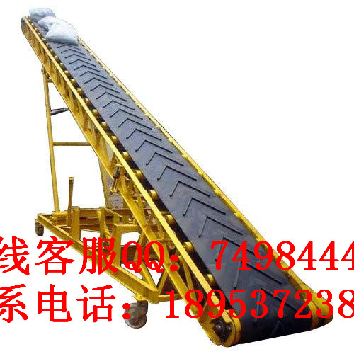 8010598.jpg