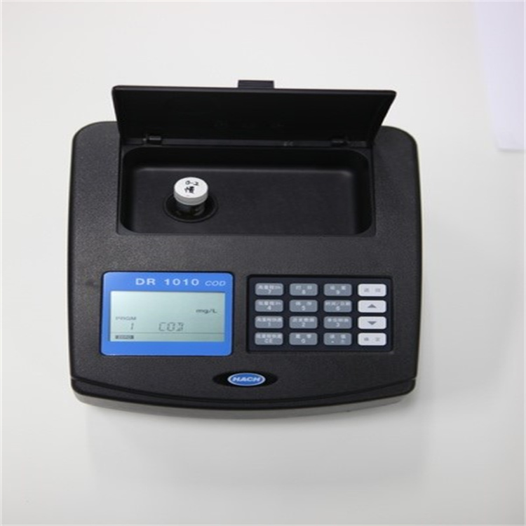 DR1010 (3).jpg