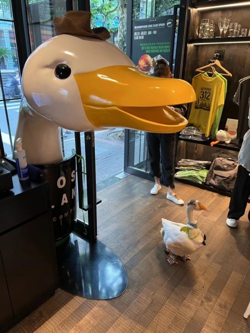 1 铁锅炖大鹅 餐厅雕塑 (1)_副本.jpg
