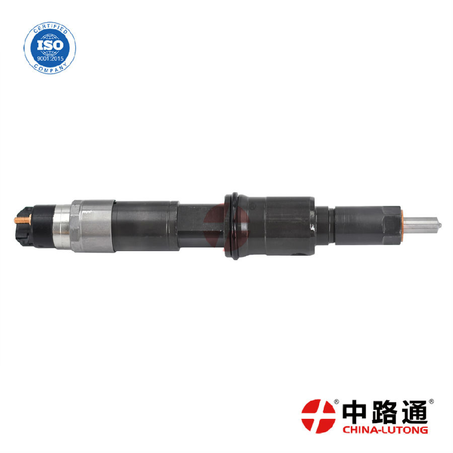 0445120020-Injector-Common-Rail (2).JPG