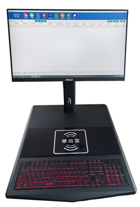 sws200.jpg