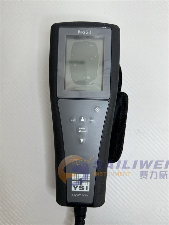 pro20i03.jpg