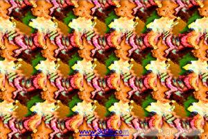 视觉三维图设计软件_相关信息