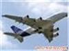 国际航空货运 